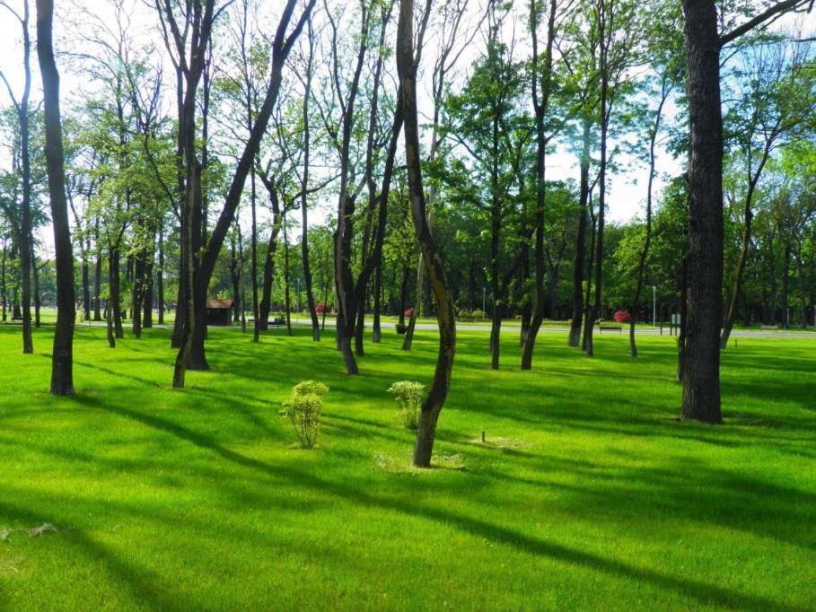 Aldira Studio Arena Nationala Букурещ Екстериор снимка